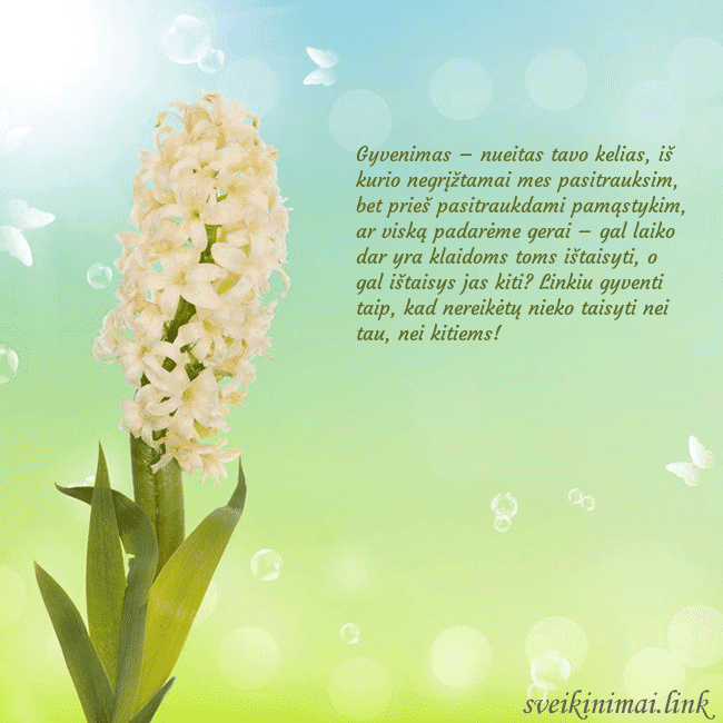 Atvirukas su hiacintu