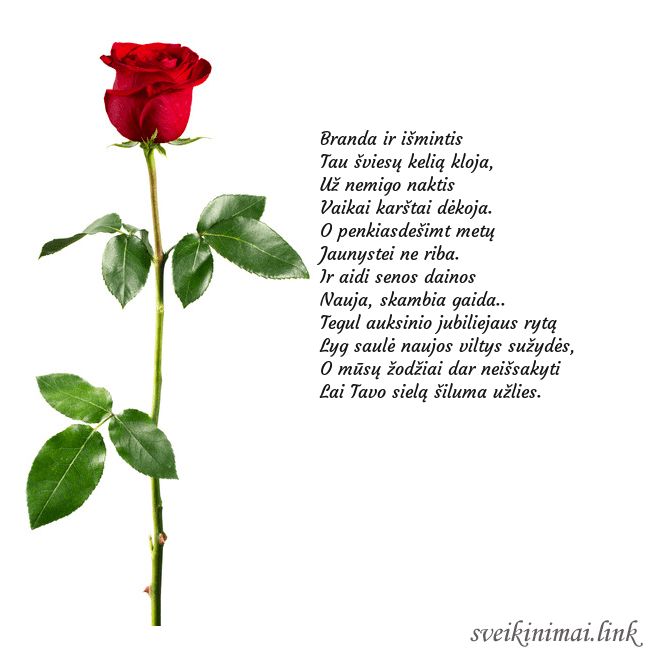 Atvirukas su raudona rože
