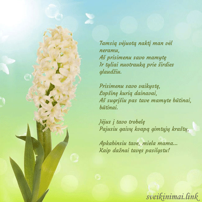 Atvirukas su hiacintu