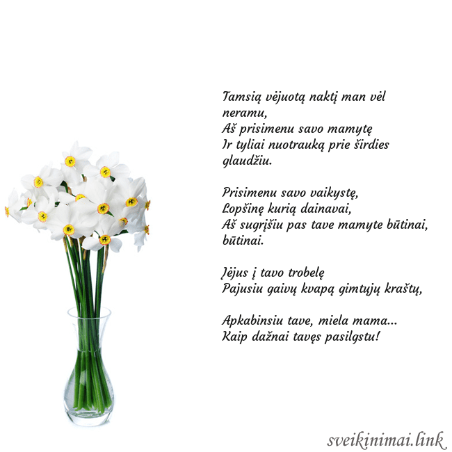 Atvirukas su narcizais