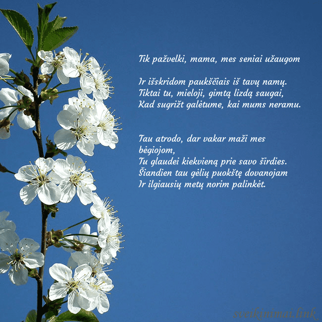 Atvirukas su pavasario žiedais