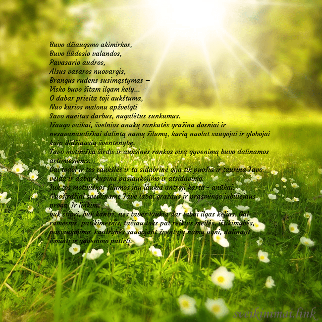 Elektroninė atvirutė su saulės spinduliuose skendinčia pieva