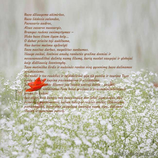 Elektroninis gimtadienio atvirukas su baltomis gėlėmis