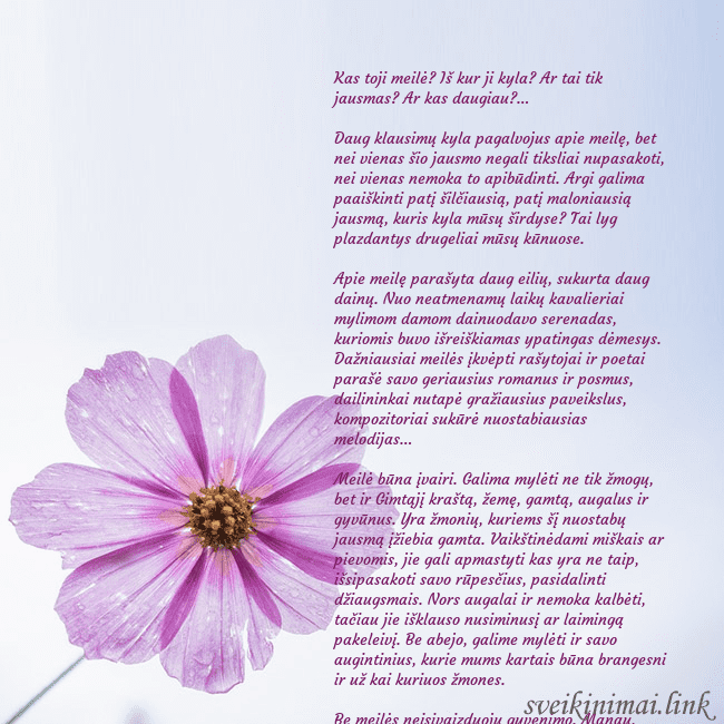 Elektroninė atvirutė su violetine gėle