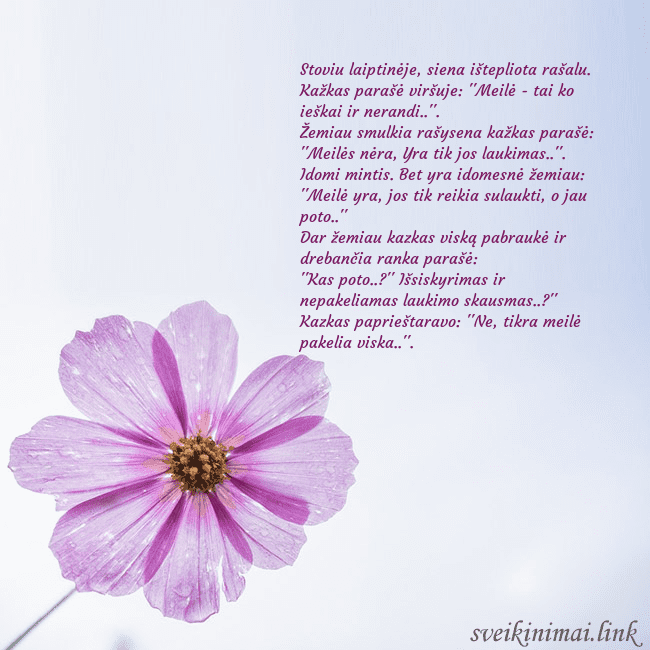 Elektroninė atvirutė su violetine gėle Stoviu laiptinėje, siena ištepliota rašalu.
Kažkas Elektroninė atvirutė su violetine gėle