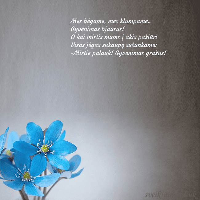 Atvirukas su žibuoklėmis Mes bėgame, mes klumpame..
Gyvenimas bjaurus!
O ka Atvirukas su žibuoklėmis